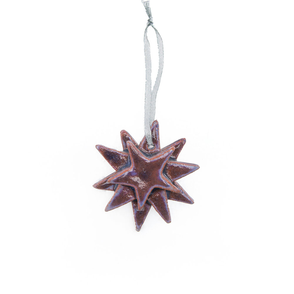 Large Purple Star